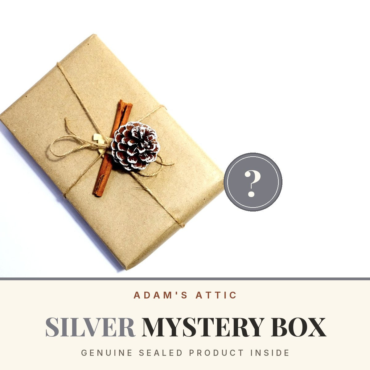 Adam's Attic Mystery Box - Silver